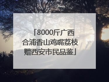8000斤广西合浦香山鸡嘴荔枝赠西安市民品鉴