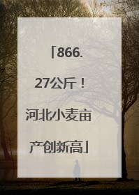 866.27公斤！河北小麦亩产创新高