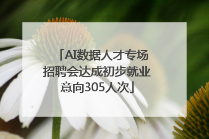 AI数据人才专场招聘会达成初步就业意向305人次