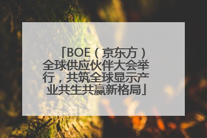 BOE（京东方）全球供应伙伴大会举行，共筑全球显示产业共生共赢新格局