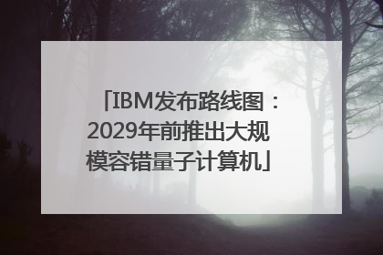 IBM发布路线图：2029年前推出大规模容错量子计算机